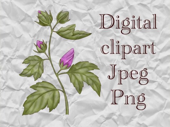 Download Hibiscus Flower Branch Clipart - Flower branch Collection